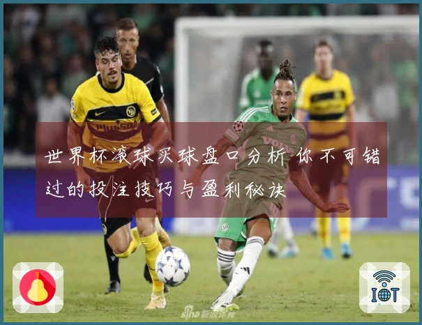 世界杯滚球买球盘口分析 你不可错过的投注技巧与盈利秘诀