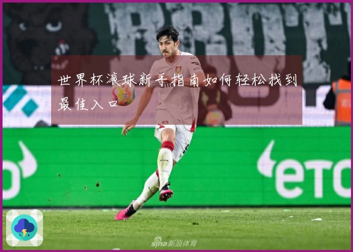世界杯滚球新手指南如何轻松找到最佳入口