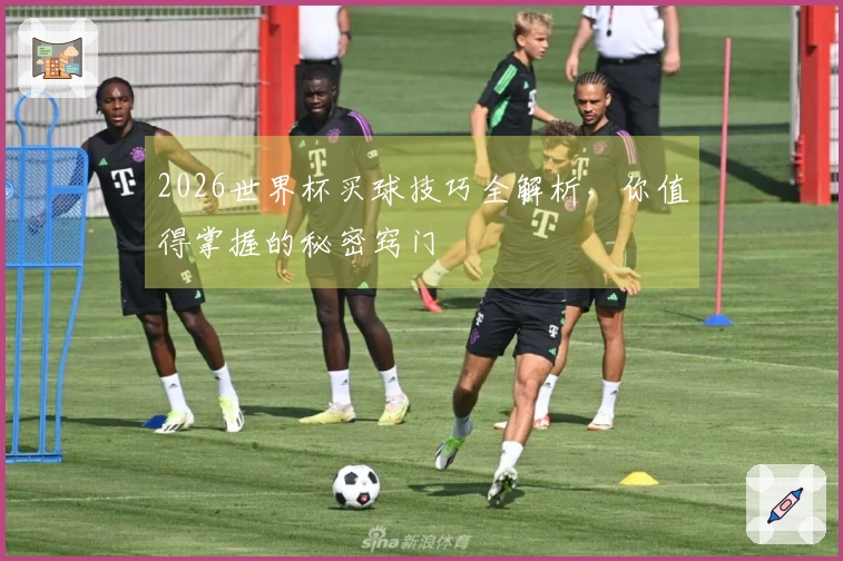 2026世界杯买球技巧全解析，你值得掌握的秘密窍门