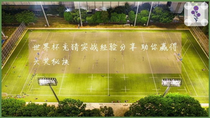 世界杯竞猜实战经验分享 助你赢得头奖秘诀