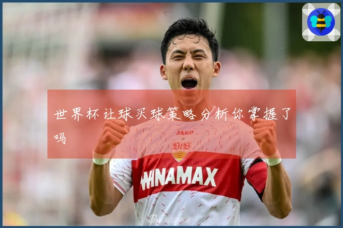 世界杯让球买球策略分析你掌握了吗